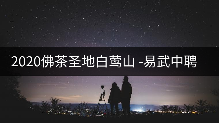 2020佛茶圣地白鶯山 -易武中聘號(hào)