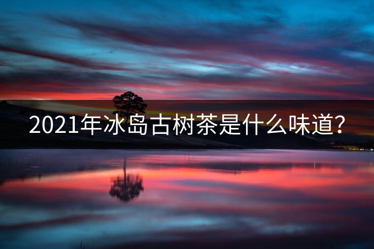 2021年冰島古樹(shù)茶是什么味道？