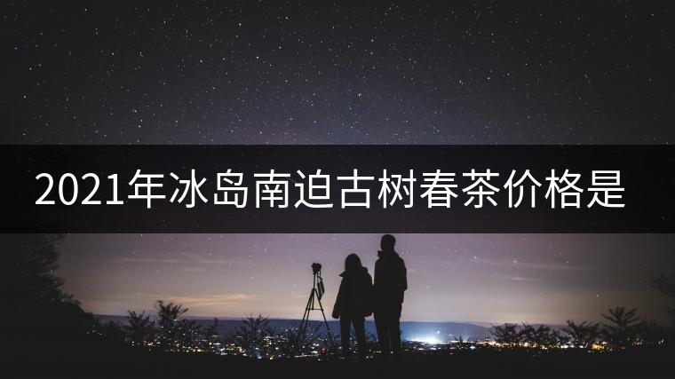 2021年冰島南迫古樹春茶價格是多少？