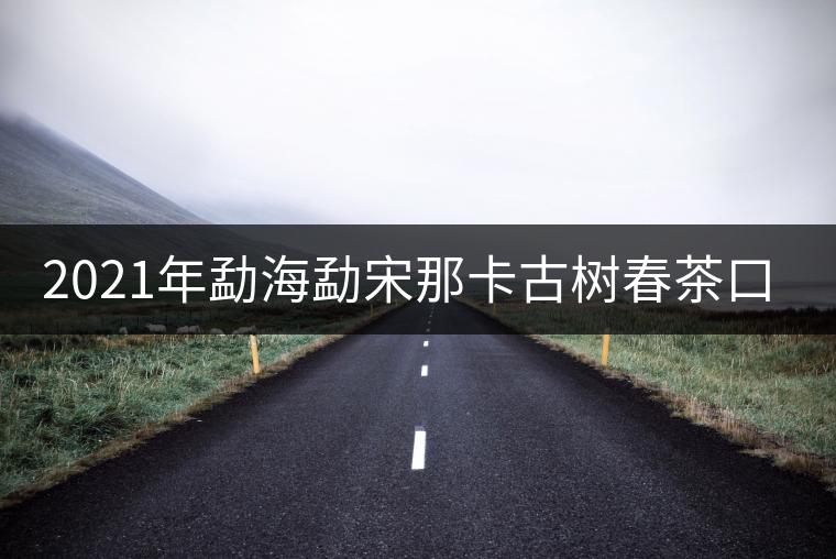 2021年勐海勐宋那卡古樹(shù)春茶口感？