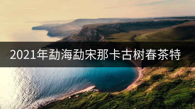 2021年勐海勐宋那卡古樹春茶特點(diǎn)？