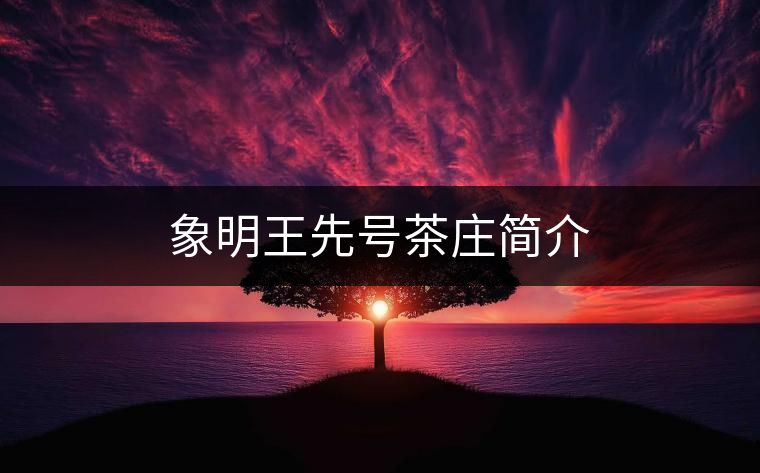 象明王先號(hào)茶莊簡介