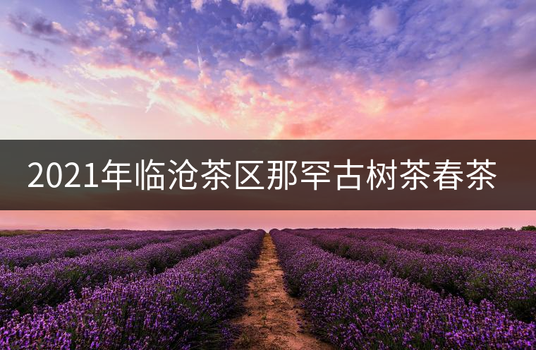 2021年臨滄茶區(qū)那罕古樹茶春茶多少錢一公斤？