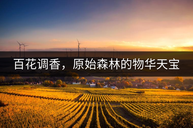 百花調香，原始森林的物華天寶
