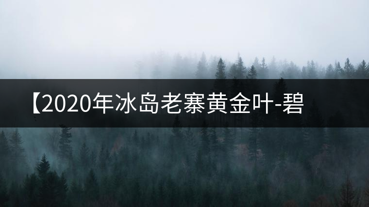【2020年冰島老寨黃金葉-碧波蕩漾一抹香，輕啜半盞甘若露。