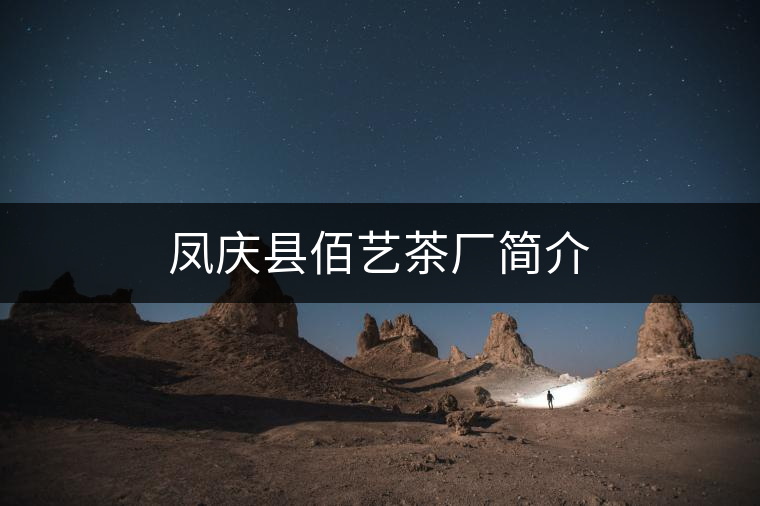 鳳慶縣佰藝茶廠簡介