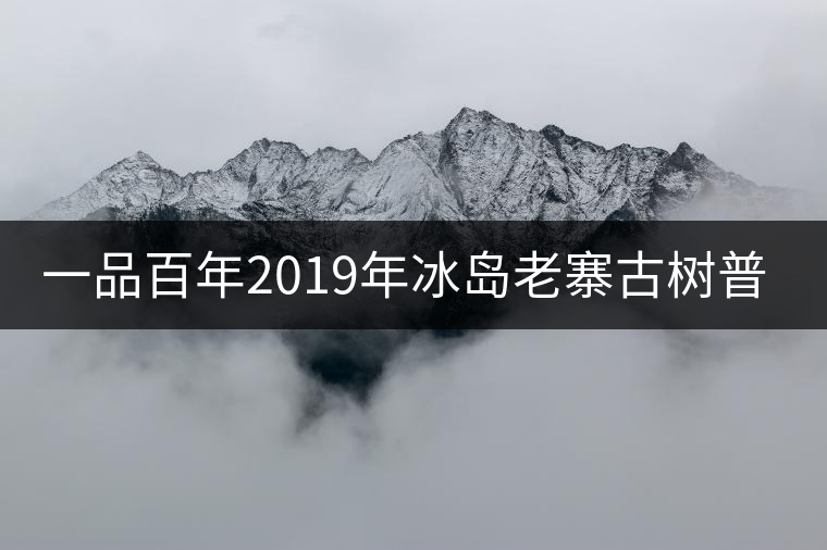 一品百年2019年冰島老寨古樹普洱茶生茶好喝嗎？