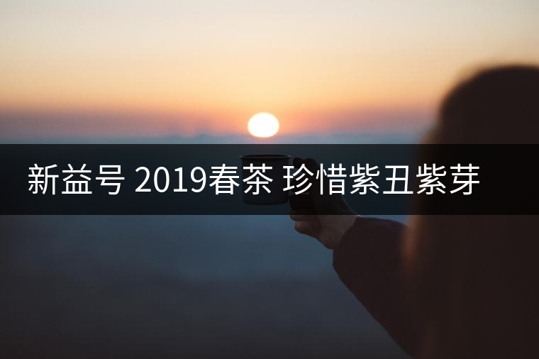 新益號 2019春茶 珍惜紫丑紫芽茶 是什么茶好喝嗎？