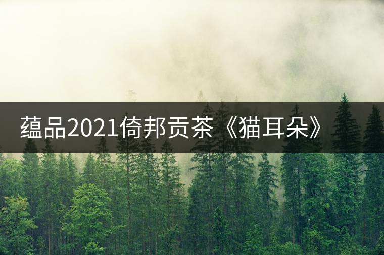 蘊品2021倚邦貢茶《貓耳朵》古樹普洱茶生茶好喝嗎？