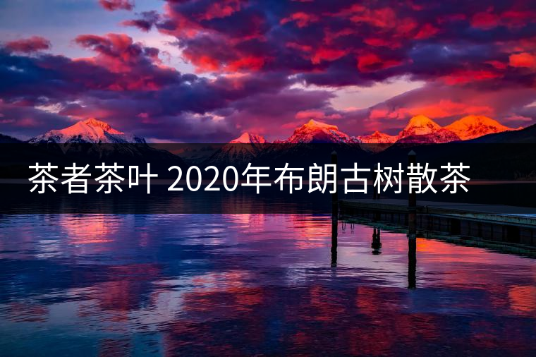 茶者茶葉 2020年布朗古樹散茶  性價比怎么樣？