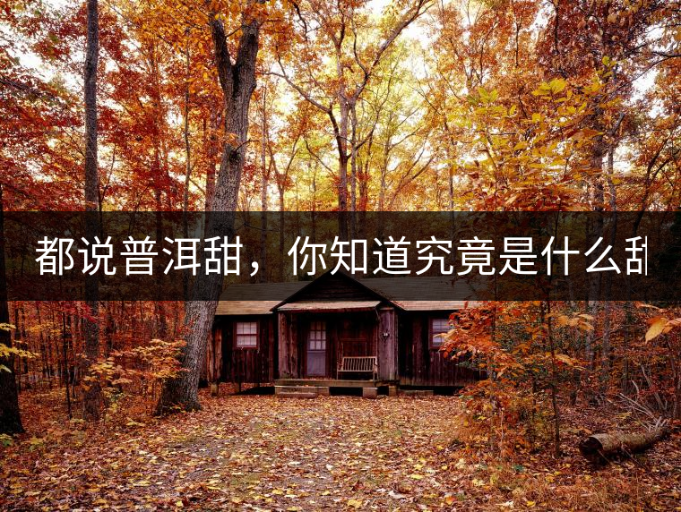 都說普洱甜，你知道究竟是什么甜嗎？