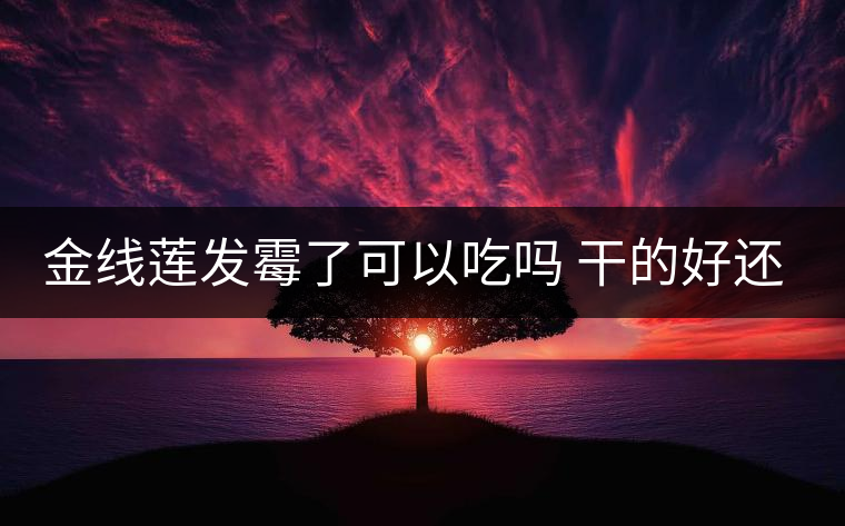 金線(xiàn)蓮發(fā)霉了可以吃嗎 干的好還是濕的好 金線(xiàn)蓮發(fā)霉了可以吃嗎 干的好還是濕的好
