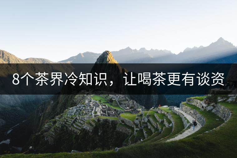 8個茶界冷知識，讓喝茶更有談資！