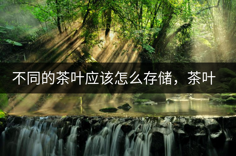 不同的茶葉應(yīng)該怎么存儲(chǔ)，茶葉罐又該如何選擇？
