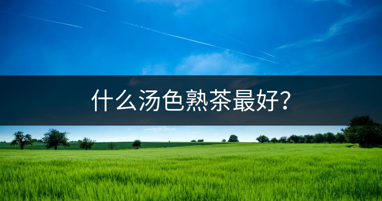 什么湯色熟茶最好？