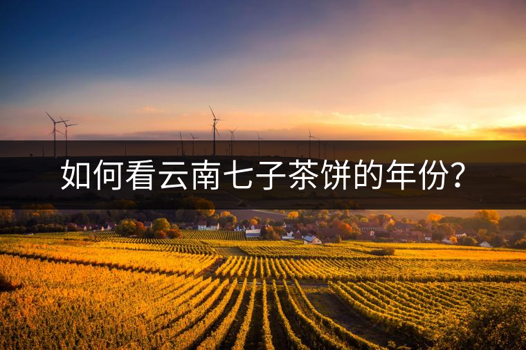 如何看云南七子茶餅的年份？