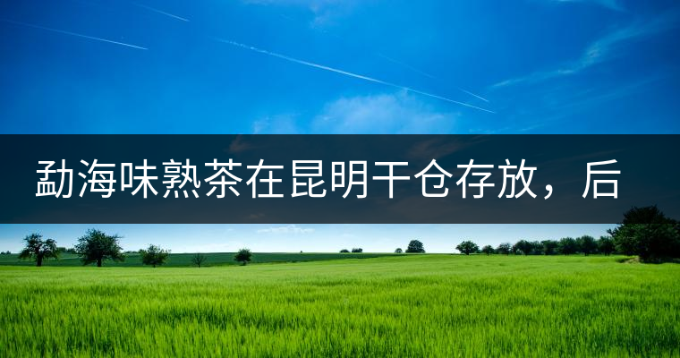 勐海味熟茶在昆明干倉存放，后期轉(zhuǎn)化如何呢？