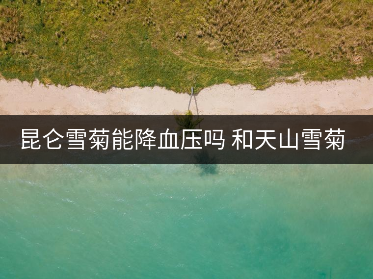 昆侖雪菊能降血壓嗎 和天山雪菊的區(qū)別