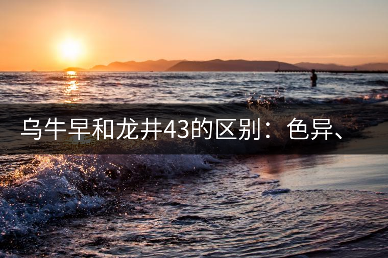 烏牛早和龍井43的區(qū)別：色異、香異、形異