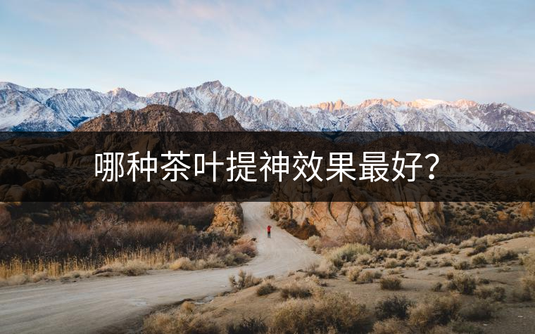 哪種茶葉提神效果最好？