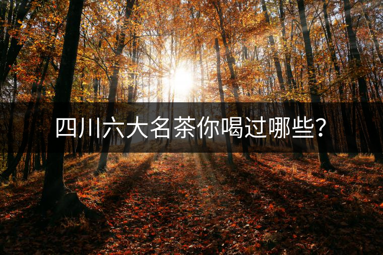 四川六大名茶你喝過哪些？