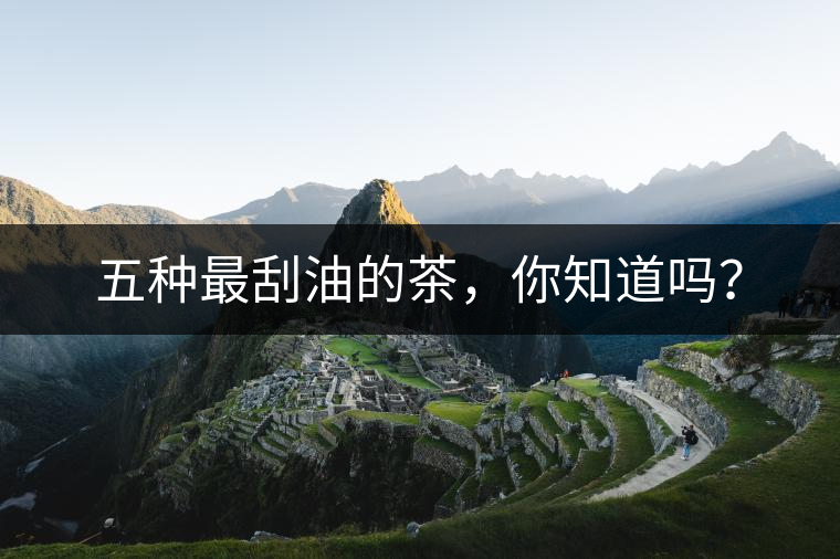 五種最刮油的茶，你知道嗎？