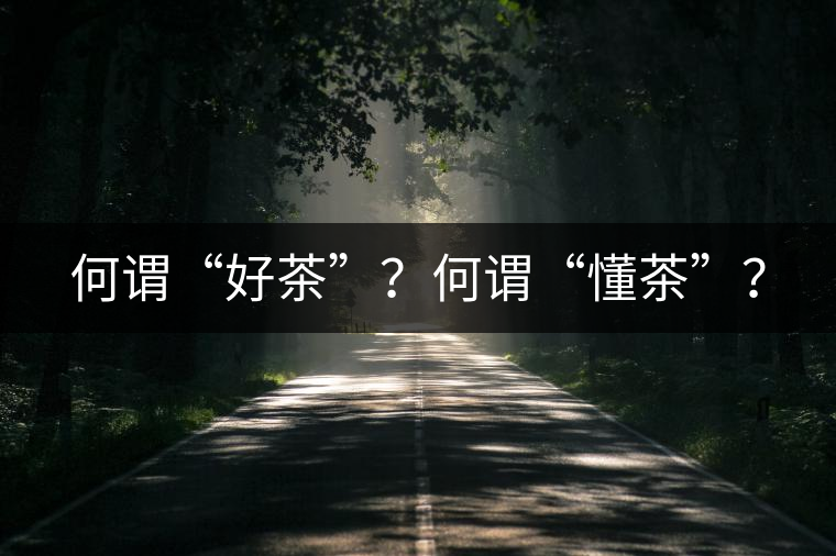 何謂“好茶”？何謂“懂茶”？