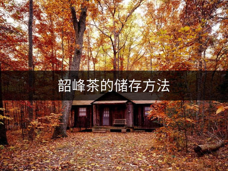 韶峰茶的儲(chǔ)存方法