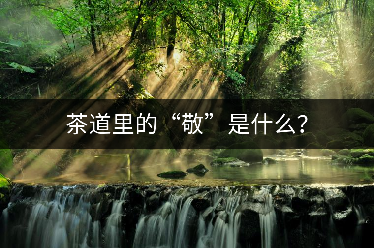 茶道里的“敬”是什么？