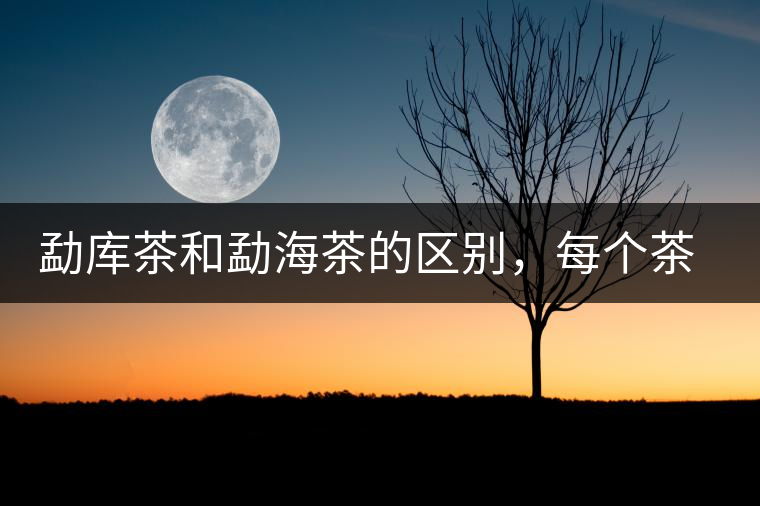 勐庫茶和勐海茶的區(qū)別，每個茶友都該了解的選茶常識！