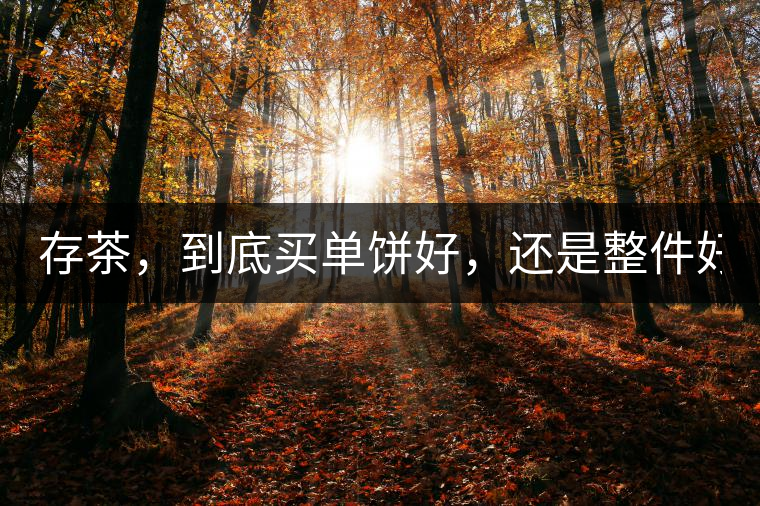 存茶，到底買(mǎi)單餅好，還是整件好？