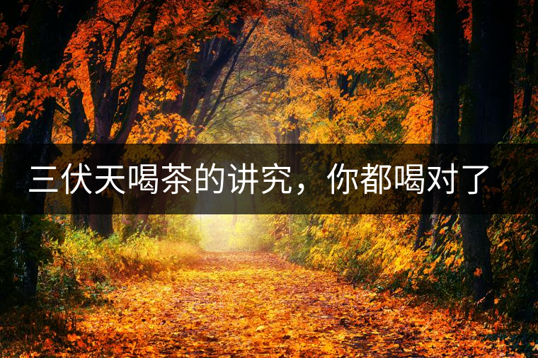 三伏天喝茶的講究，你都喝對(duì)了嗎？