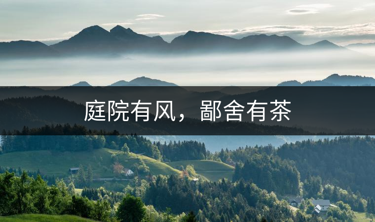 庭院有風(fēng)，鄙舍有茶