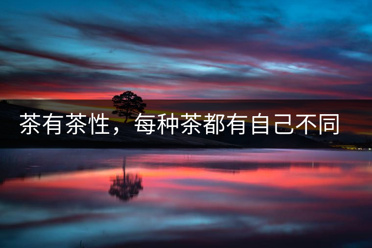 茶有茶性，每種茶都有自己不同的正確泡法