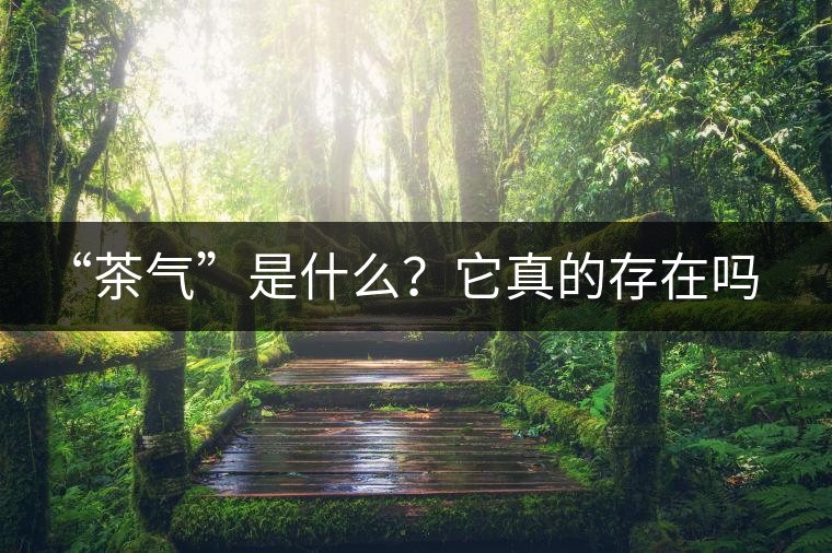 “茶氣”是什么？它真的存在嗎？