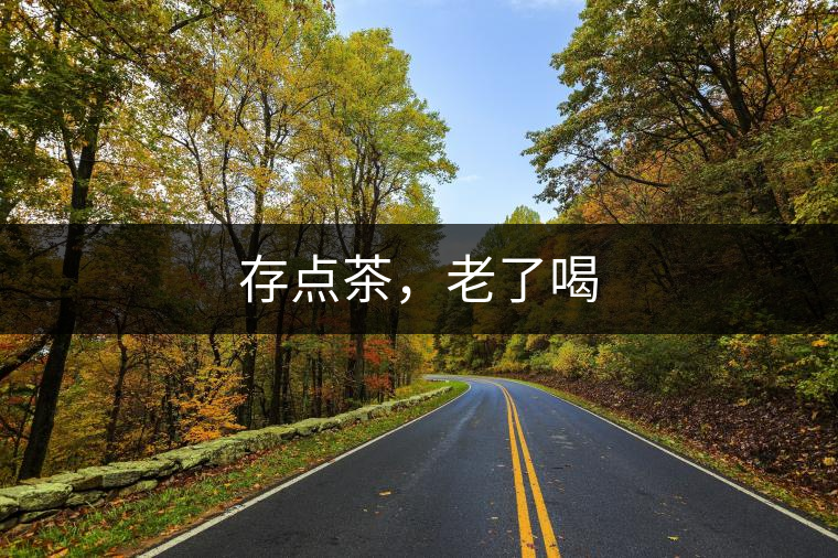 存點(diǎn)茶，老了喝