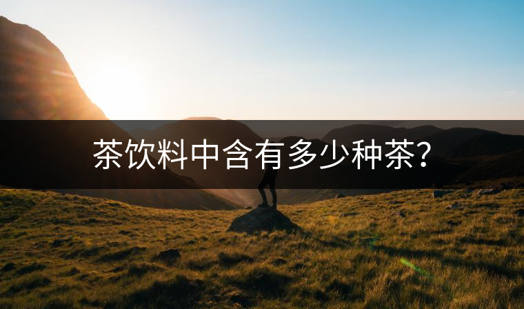 茶飲料中含有多少種茶？