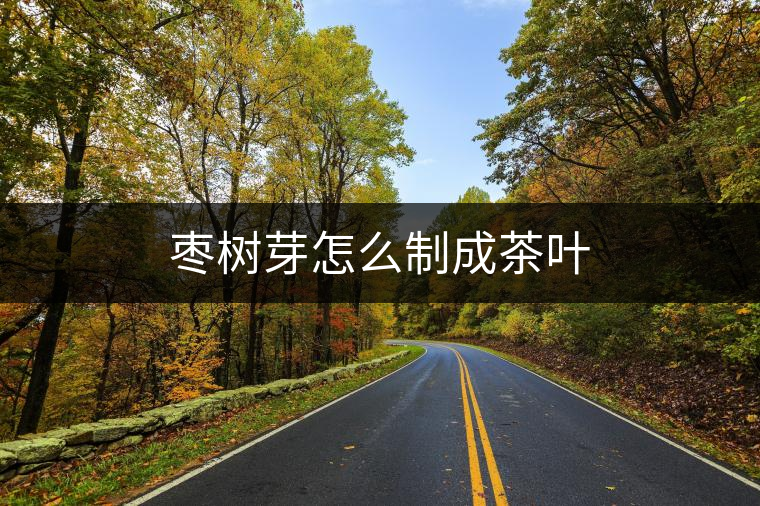 棗樹(shù)芽怎么制成茶葉