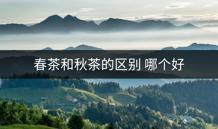 春茶和秋茶的區(qū)別 哪個好 春茶和秋茶的區(qū)別 哪個好