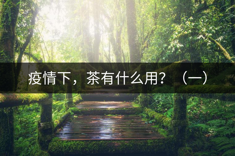 疫情下，茶有什么用？（一）