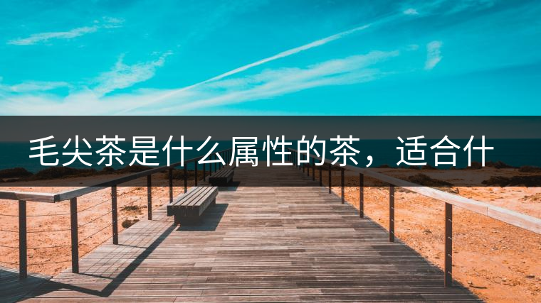 毛尖茶是什么屬性的茶，適合什么群體品飲？