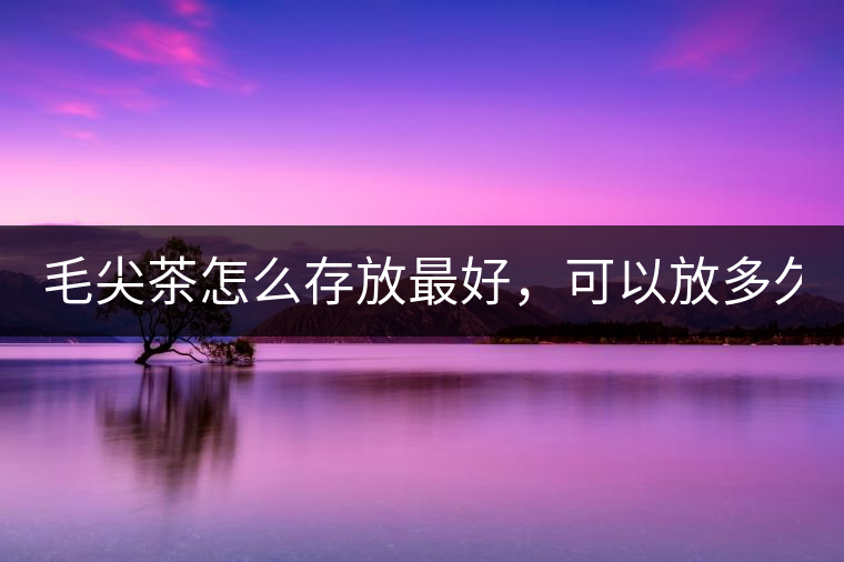 毛尖茶怎么存放最好，可以放多久？