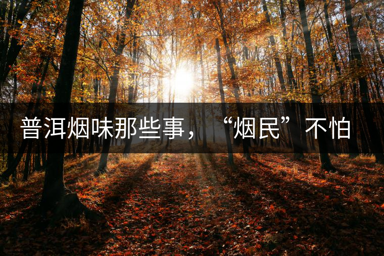 普洱煙味那些事，“煙民”不怕當(dāng)