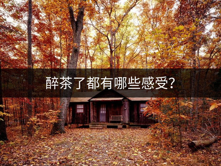 醉茶了都有哪些感受？