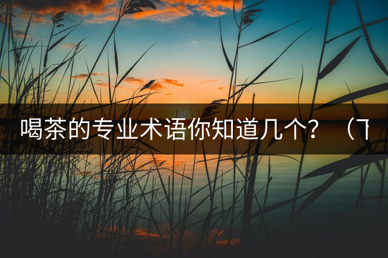喝茶的專業(yè)術(shù)語你知道幾個？（下篇）