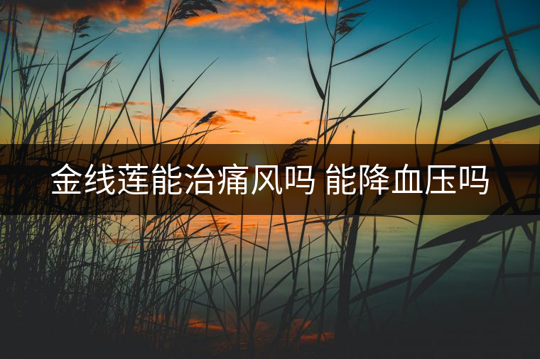 金線蓮能治痛風(fēng)嗎 能降血壓?jiǎn)? alt=