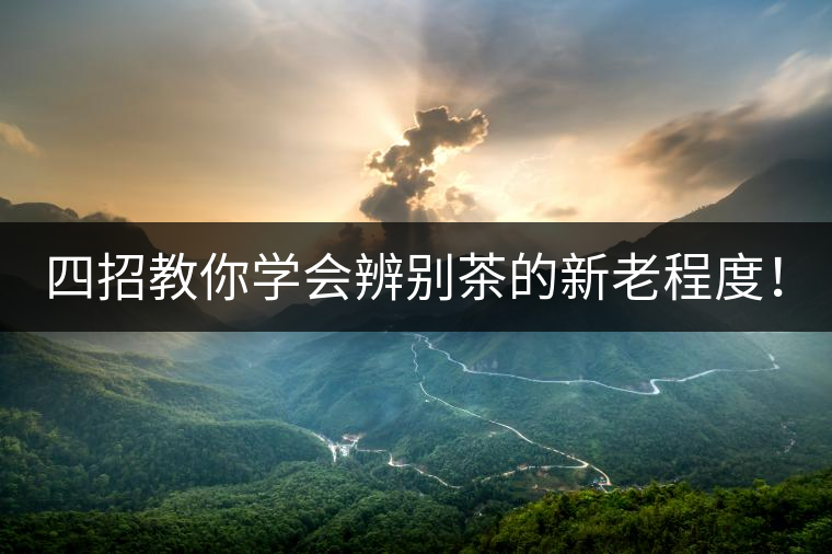 四招教你學(xué)會(huì)辨別茶的新老程度！