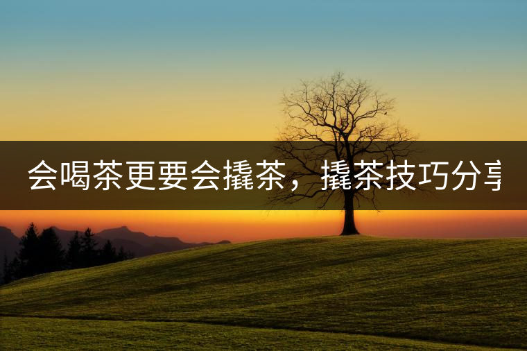 會(huì)喝茶更要會(huì)撬茶，撬茶技巧分享！