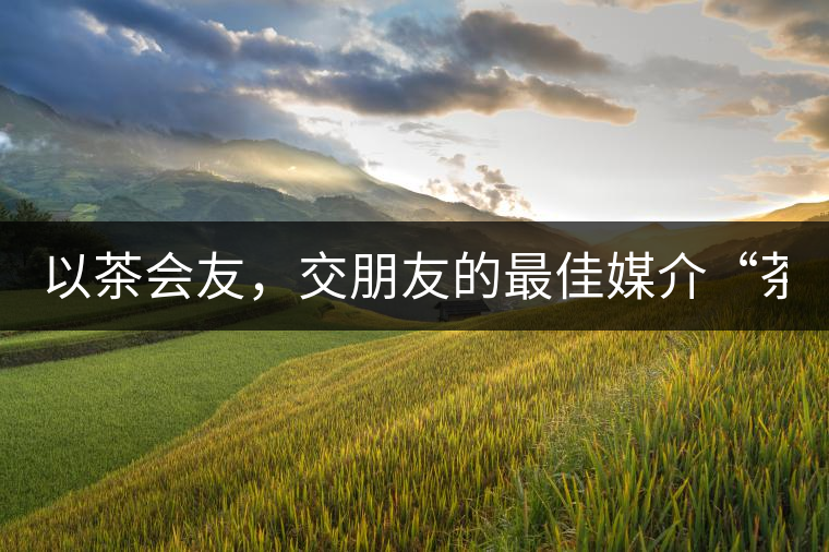 以茶會友，交朋友的最佳媒介“茶”！