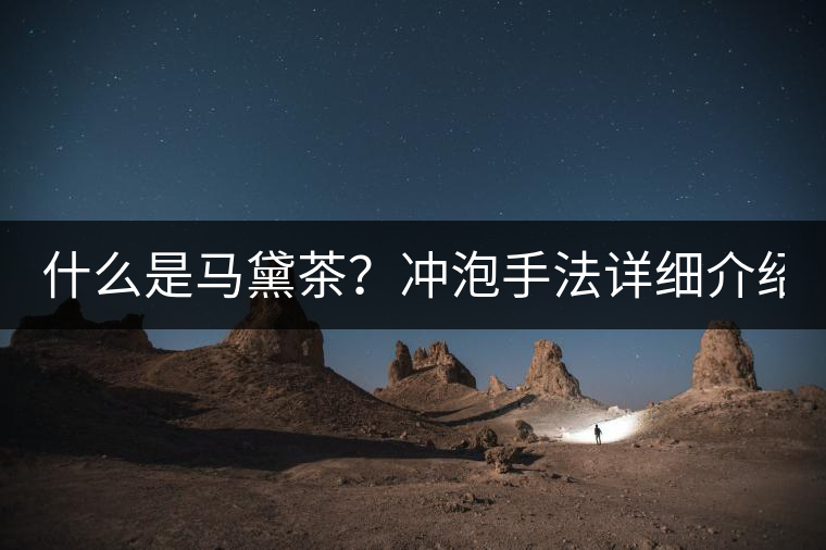 什么是馬黛茶？沖泡手法詳細(xì)介紹！